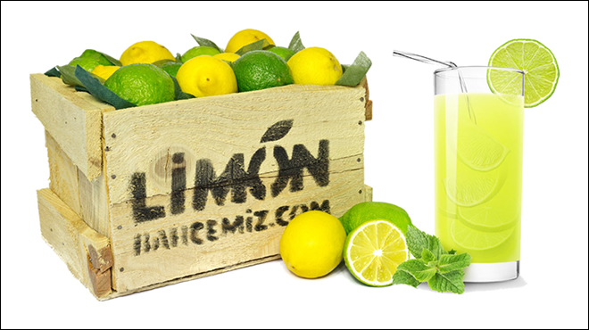 Limon Bahçesi